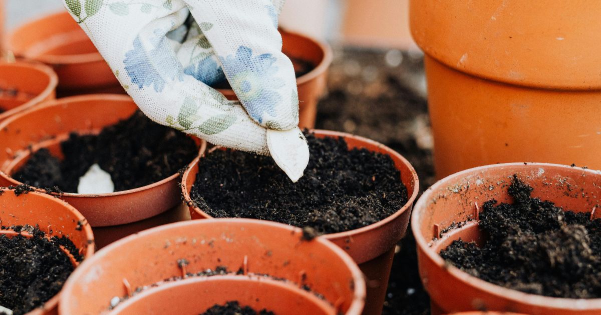 A gloved hand is planting a seed in a small terracotta pot filled with soil. Several other pots filled with soil are visible around it, indicating a gardening activity.