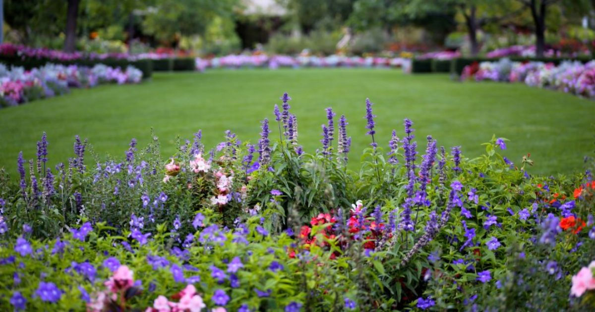 A vibrant garden with colorful flowers, including purple, pink, and red blooms, surrounding a well-maintained green lawn.