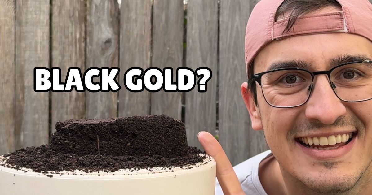 Man pointing at a pile of organic earthworm castings in the shape of a gold bar