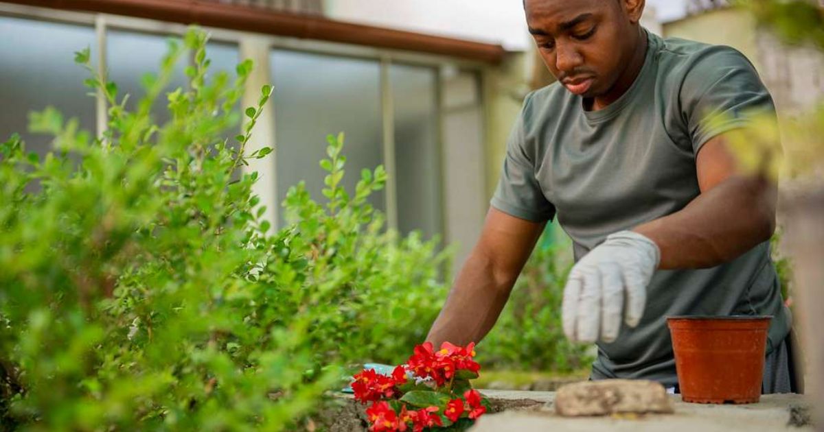 A person in a gray shirt and white gloves is tending to a potted plant with red flowers on a stone surface. There is a small empty pot nearby. The background shows green foliage and a building with large windows.