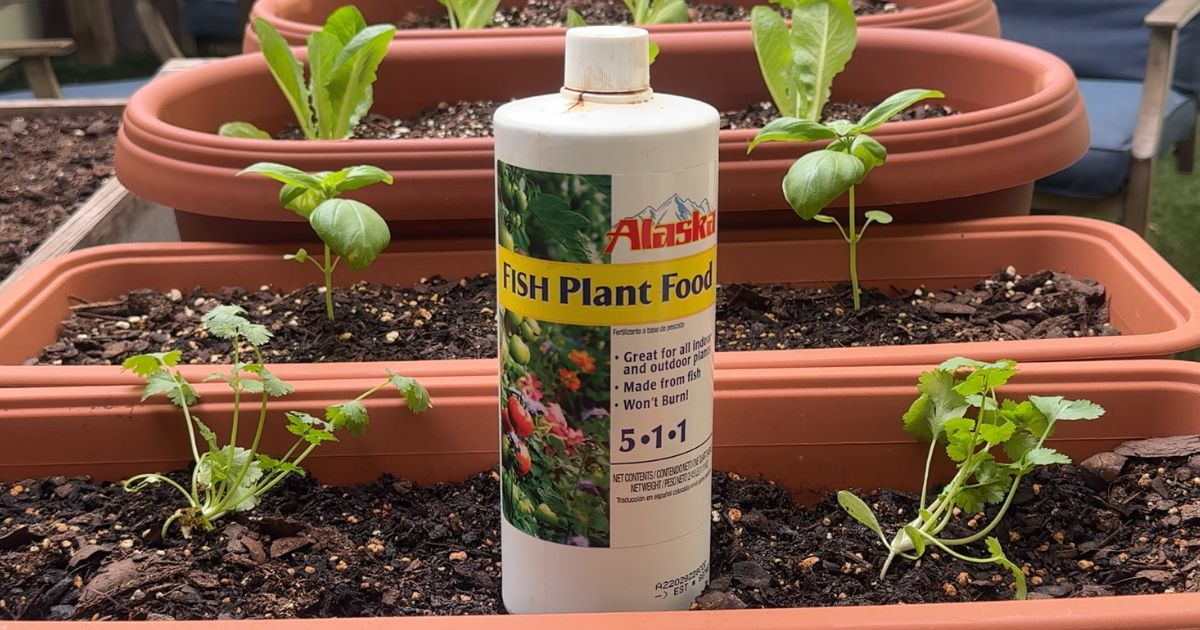 Bottle of Alaska Fish Plant Food, an organic liquid fertilizer for boosting plant growth and enhancing soil health