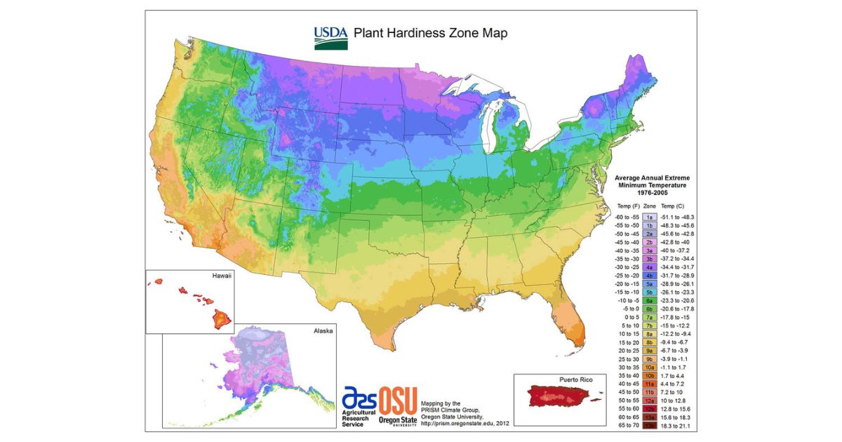 A USDA Plant Hardiness Zone Map of the United States, including Alaska, Hawaii, and Puerto Rico. The map is color-coded to show different plant hardiness zones based on average annual extreme minimum temperatures from 1976 to 2005. The zones range from Zone 1a (-60 to -55°F or -51.1 to -48.3°C) to Zone 13b (65 to 70°F or 18.3 to 21.1°C). The map includes a legend on the right side that lists the temperature ranges for each zone. The map is produced by the PRISM Climate Group at Oregon State University and the Agricultural Research Service.