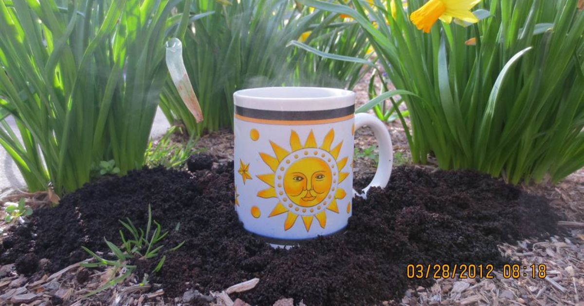 A white mug with a sun and star design, placed on a mound of soil in a garden with green plants and yellow flowers in the background. The mug is steaming, indicating it contains a hot beverage.