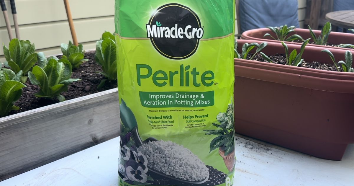 Close-up of white, lightweight perlite granules used in gardening to improve soil aeration and drainage