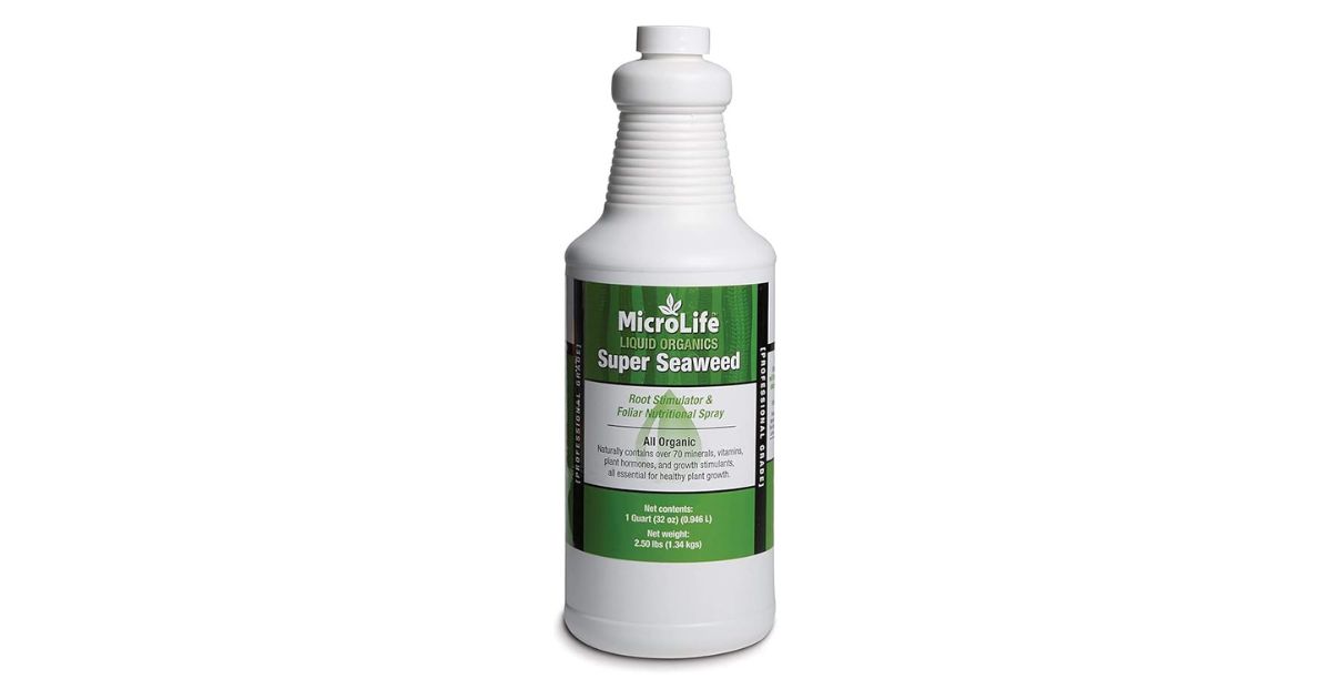 MicroLife Super Seaweed Professional Grade Organic Liquid Concentrate Root Stimulator & Foliar Nutritional Spray for All Plants, in its packaging.