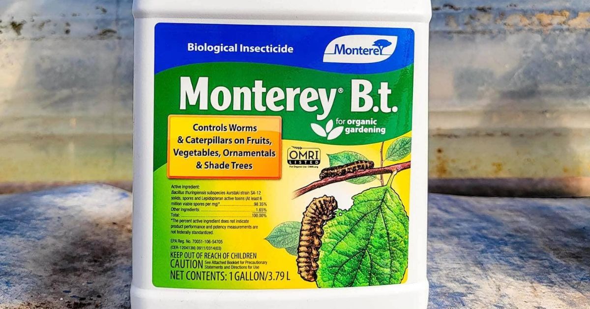 Container of Monterey B.t. Biological Insecticide for organic gardening, controls worms and caterpillars on fruits, vegetables, ornamentals, and shade trees.