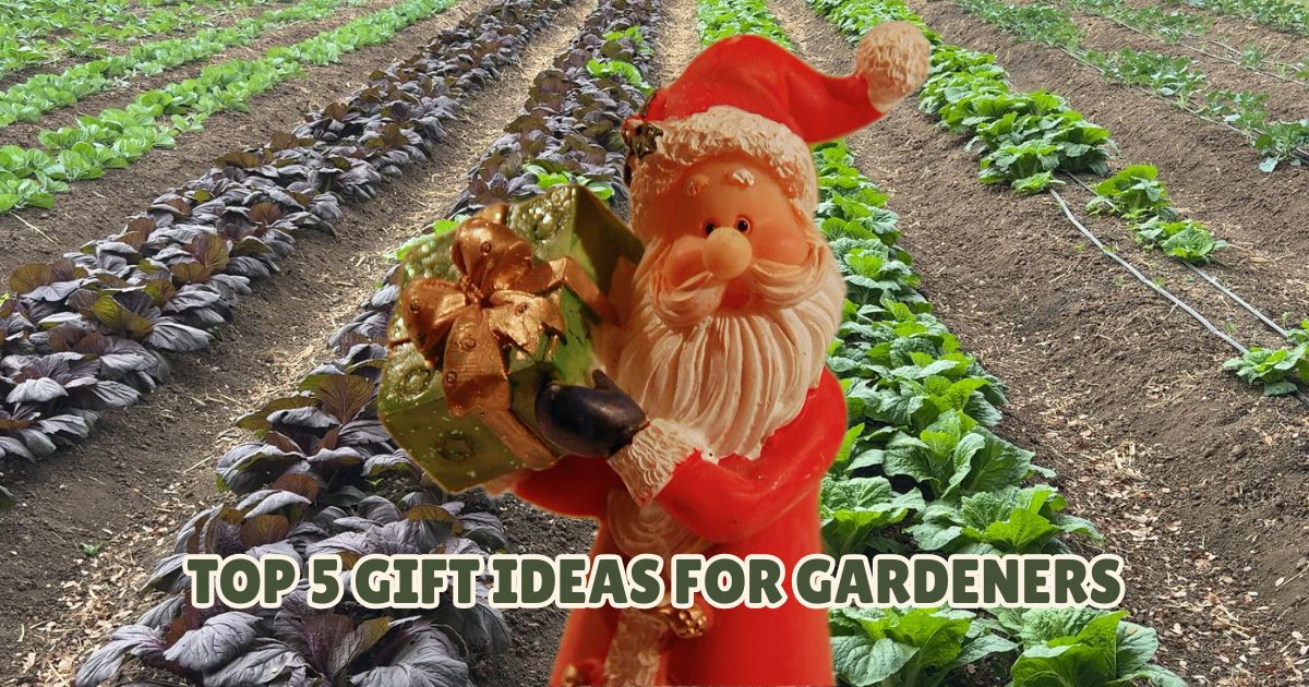 Santa in a garden holding a gift with the text 'Top 5 Gift Ideas for Gardeners'