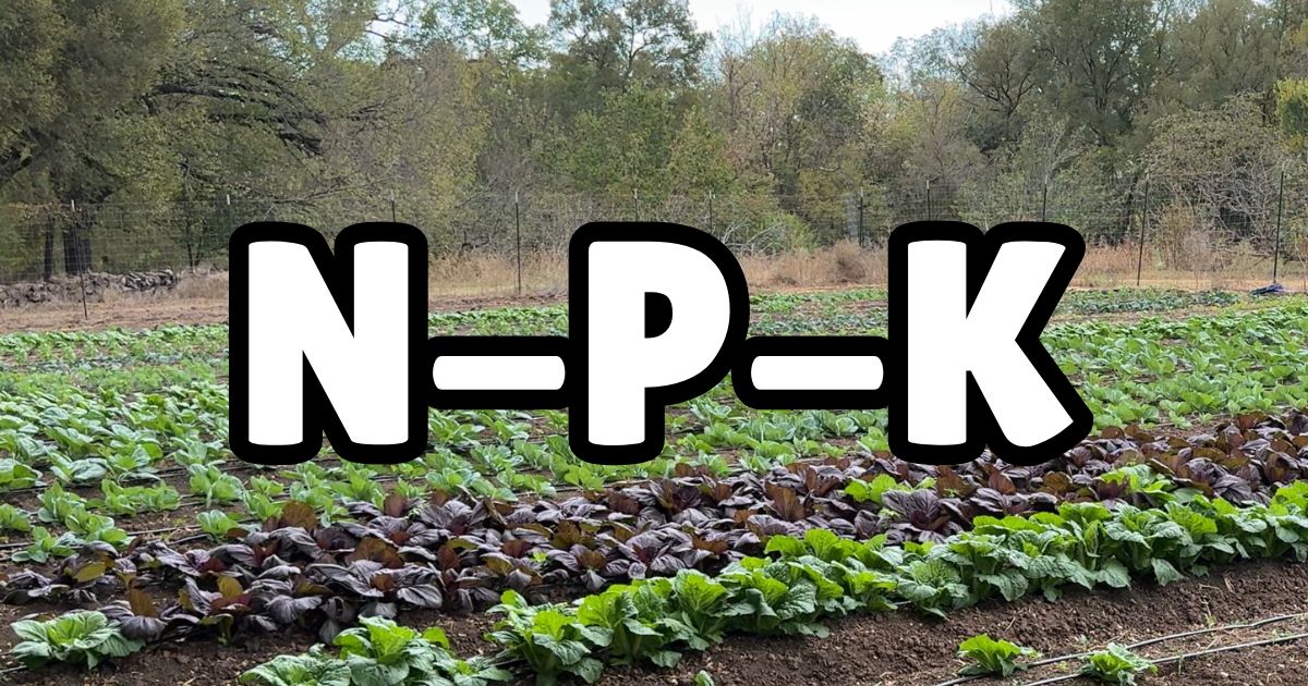 A farm with the letters N-P-K representing the essential nutrients nitrogen, phosphorus, and potassium for plant growth.